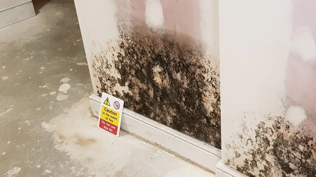 Mold at multiple places in the parking corridor. Half-fixed since